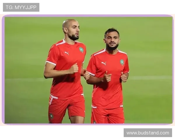 世界杯黑马球队