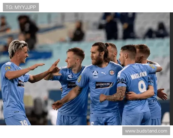 帕利尼亚的犯规控制与防守效率分析