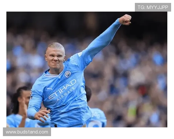 哈兰德传球视野局限性分析